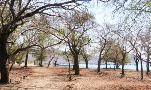 Beauty of Komodo Island