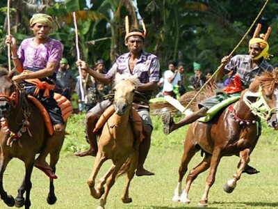 Pasola Festival Traditional War