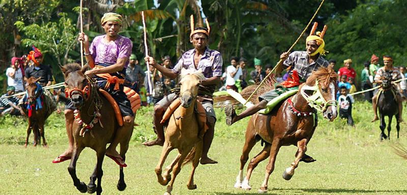 Pasola Festival Traditional War