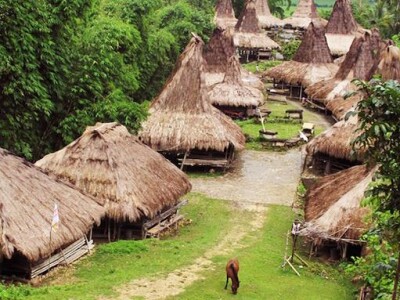 Prai Ijing Village Waikabubak