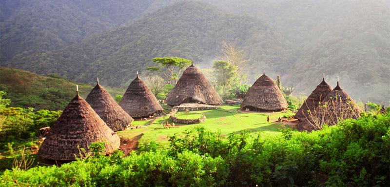 Traditional Village of Waerebo