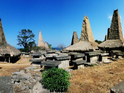 The Living Megalithic Culture